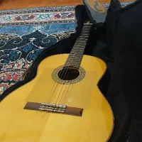 کیف یا کیس گیتار|گیتار، بیس، امپلیفایر|احمدسرگوراب, |دیوار