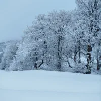 زمین ویلایی روستای سیجان گالیکش