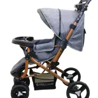 کالسکه سالم