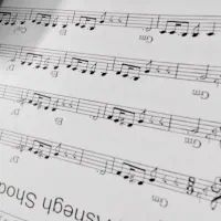 سازدهنی کروماتیک ایستاپ مدل کینگ دریم King Dream|سازهای بادی|بجنورد, |دیوار