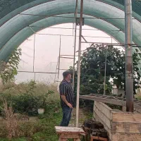 سازه گلخانه ۱۵۰ متری ، همراه با تمام تجهیزات