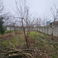 فروش-ویلای-نقلی-40متری-دارای-انواع-نهال-و-درختان