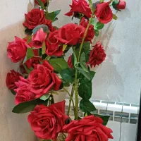 تزئینی|گل مصنوعی|تهران, تهرانپارس غربی|دیوار