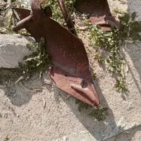 گاواهن