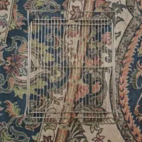 سبدسوپر ،کابینت|آب‌چکان و نظم‌دهنده ظروف|مشهد, طبرسی شمالی|دیوار