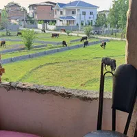 اجاره روزانه ویلای ۱خوابه جنگلی روستایی|اجارهٔ کوتاه‌مدت آپارتمان و سوئیت|چالوس, |دیوار