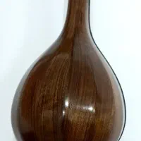 سه تار شاهرخی دو مهر اصل|سازهای سنتی|آبدانان, |دیوار