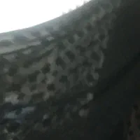 چادر مشکی حریر گلدار|لباس|پاکدشت, پاکدشت (مامازند)|دیوار