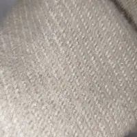 پالتو آستری