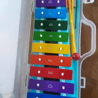 بلز و فلوت کاملا نو بهمراه دفتر نت