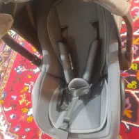 کریر طوسی پر رنگ