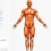 ماساژ بانوان توسط خانم