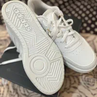 کتونی آدیداس اورجینال