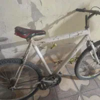 دوچرخه ۲۶|دوچرخه، اسکیت، اسکوتر|شیراز, لب آب|دیوار