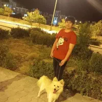سگ پامر اشپیتز نر