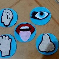 درست کردن وسایل آموزش نمدی و انواع ماسک حیوانات|اسباببازی|قرچک, زیبا شهر|دیوار