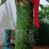 بامبو طبیعی|گل و گیاه طبیعی|مسجد سلیمان, |دیوار