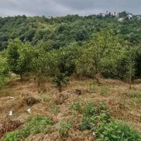 350-متری-سنددار-اربکله