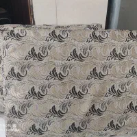 دوعددپشتی