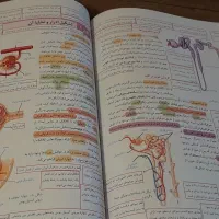 پرفروش ترین کتاب زیست دهم|کتاب و مجله آموزشی|اصفهان, ملاصدرا|دیوار