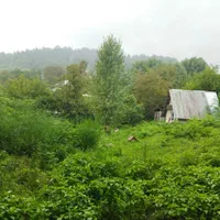 ویلا سوئیسی روستای حلیمه جان، اجاره روزانه