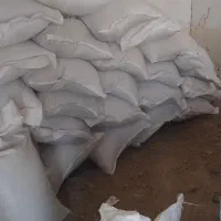 اهواز دغاغله گندم بزری|خوردنی و آشامیدنی|باوی, |دیوار