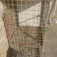 قفس جفتی|لوازم جانبی حیوانات|خمینیشهر, |دیوار