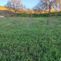 زمینی-در-بالای-یلفان-بالاتر-از-کوچه-باغ
