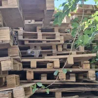خرید و فروش پالت چوب و تخته هفت لا