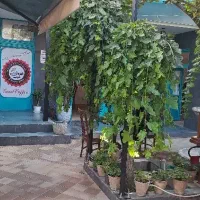استخدام باریستا و سالندار