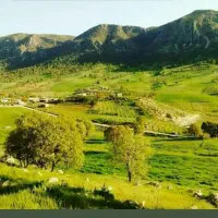 گوشواره در جاده بابامیدان گچساران گمشده