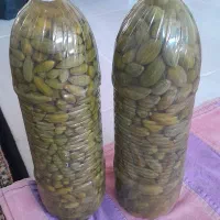 هندوانه‌ی‌کوهی‌یاهمان‌داغ‌قارپیزی