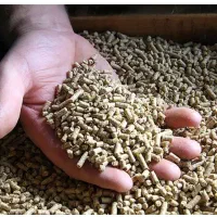 پیلت برا مرغ و خروس و انواع پرنده