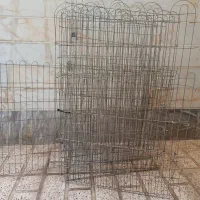 خانه سگ و قلاده و پارک سگ|لوازم جانبی حیوانات|باغستان, |دیوار