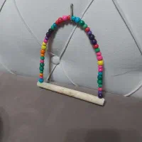 تاب و ظرف حمام پرنده|لوازم جانبی حیوانات|بندر انزلی, عباس آباد|دیوار