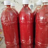 سبزیجات آماده پنیر لیقوان کره ترشی رب|خوردنی و آشامیدنی|ایلخچی, |دیوار