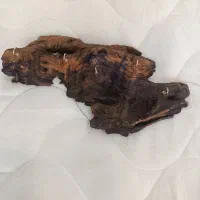 جاکلیدی روستیک