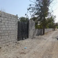 250-متر-باغچه-4-دیواری-سند-تک-برگ
