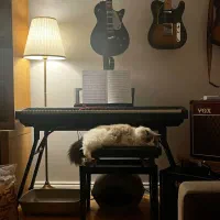 فروش و اموزش گیتار هنگدرام تمپو دف ویالن ملودیکا