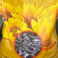 تخمه آفتابگردان. کم نمک خوشمزه .پختمناسب.