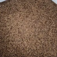 کنجد محلی تمیز بدون اشغال 20موجوده