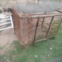 قفس  ۷۵ در ۱۱۵