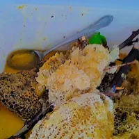 عسل طبیعی|خوردنی و آشامیدنی|اهواز, دغاغله|دیوار