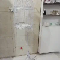 قفس عروس