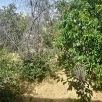 باغ ویلا کلنگی پر از درختان میوه ای .نمین|فروش زمین و ملک کلنگی|نمین, |دیوار