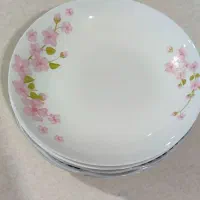 ظروف والتر کاسه آش ظرف میوه بشقاب اردوخوری|ظروف سرو و پذیرایی|تهران, شوش|دیوار