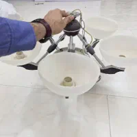 لوستر شیک|لوستر و چراغ آویز|شیراز, زرهی|دیوار