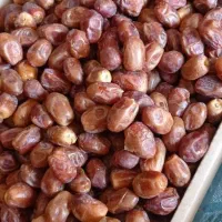 خرما کبکاب تازه|خوردنی و آشامیدنی|قرچک, مهدیه|دیوار