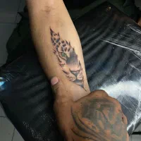 تتو ارتیست تاتو مشهد