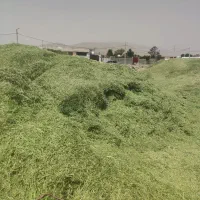 فروش یونجه کوفته.کاه گندم و جو.